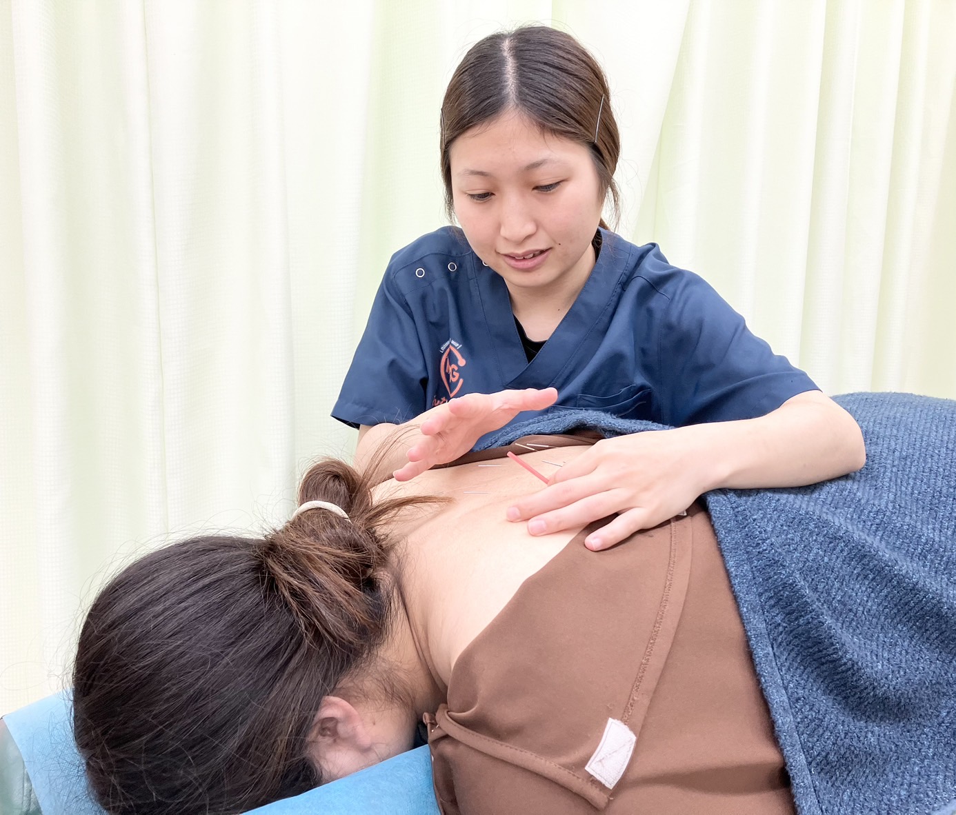藤田紫乃【ふじた式整体科学～刻まれた不調の痕跡～】フルセット+内臓へのアプローチ Amazon.co.jp: フルセット 藤田紫乃のふじた式整体科学刻まれた